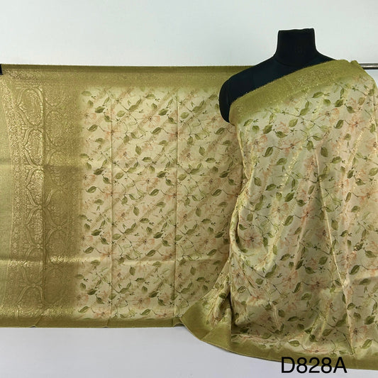 Silk Tissue Georgette Dupatta -D828