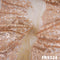 Thread Sequins Embroidered Net Fabric - FR9324