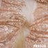 Thread Sequins Embroidered Net Fabric - FR9324