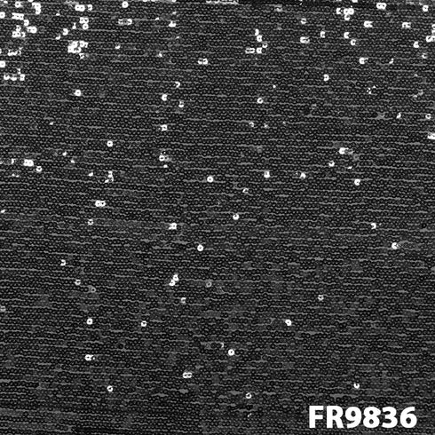 Sequins Net Fabric-FR9836
