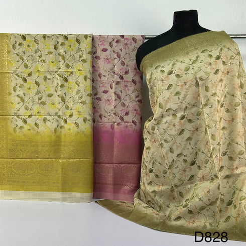 Silk Tissue Georgette Dupatta -D828