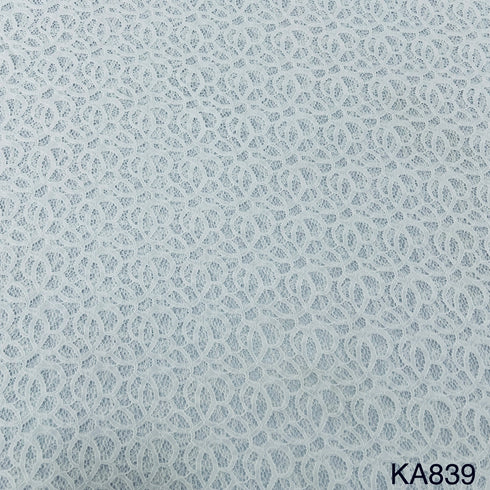 Dyeable Self Nylon Net Fabric-KA836