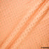 Brocade Fabric- F4095