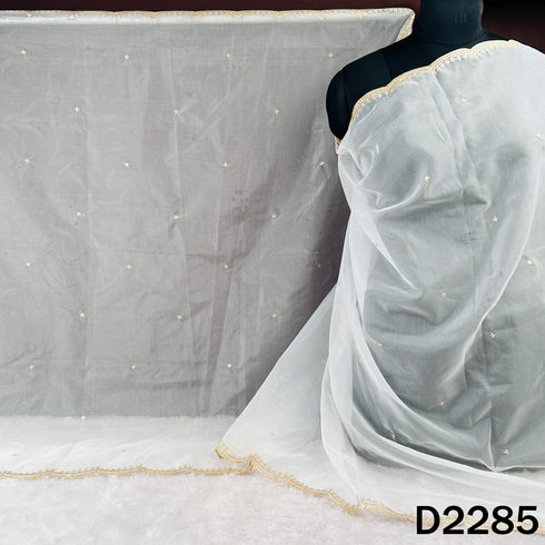 Dyeable Zari Sequins Work Organza Dupatta - D2285