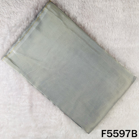 Zari Work Shimmer Tissue Fabric - F5597