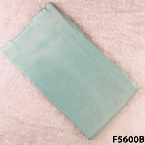 Zari Work Shimmer Tissue Fabric - F5600