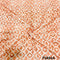 Printed Chikankari Cotton Fabric-FR2494