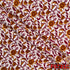 Printed Cotton Fabric - F5731