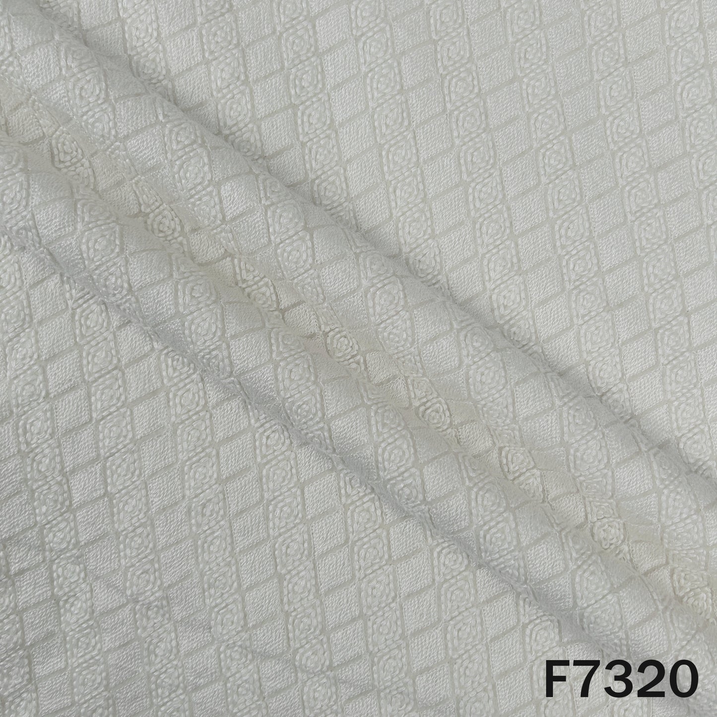 Dyeable Thread Embroidered Georgette Fabric - F7320