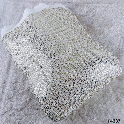 Dyeable Thread Sequins Embroidered Georgette Fabric-F4237