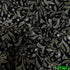 Zari Sequins Georgette Fabric-F2789