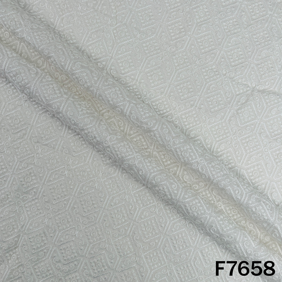 Dyeable Thread Embroidered Raw Silk Fabric - F7658