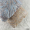 Cut Dana Thread Sequins Embroidered Net Fabric-F4997
