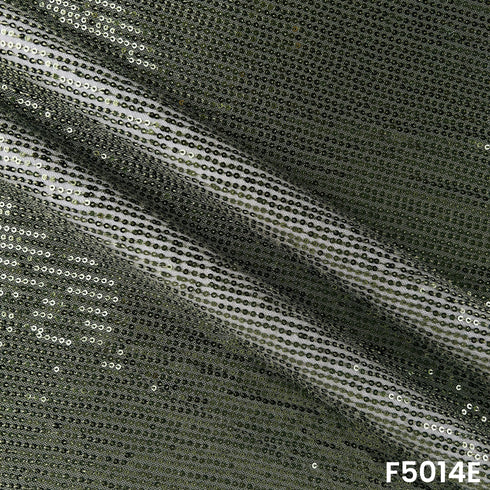 Sequins Embroidered Lycra Net Fabric-F5014