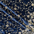 Cut Dana Sequins Pearls Embroidered Lycra Velvet Fabric-F5071