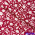 Digital Print Viscose Crepe Fabric- F5178