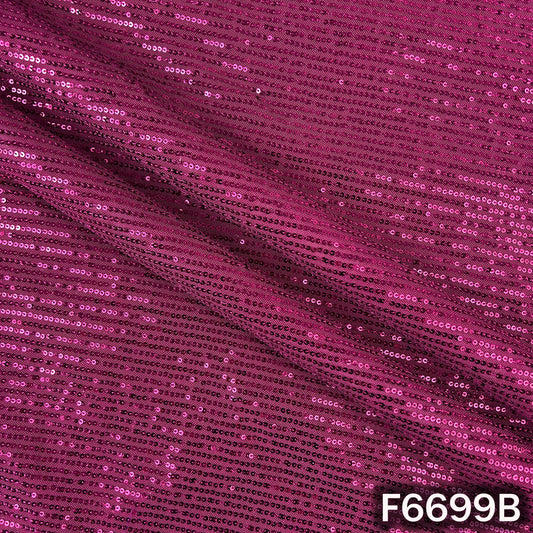 Sequins Lycra Net Fabric - F6699