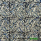 Kalamkari Cotton Fabric-F2160