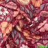 Printed Simmer Silk Fabric-F3341