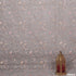 Embroidered Pure Organza Fabric-FR3452