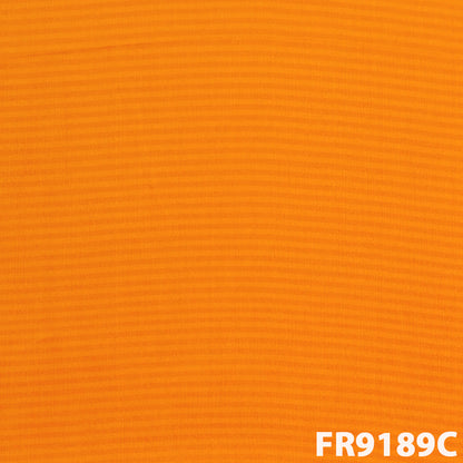 Stripes Pure Chinon Chiffon With Zari Border fabric - FR9189