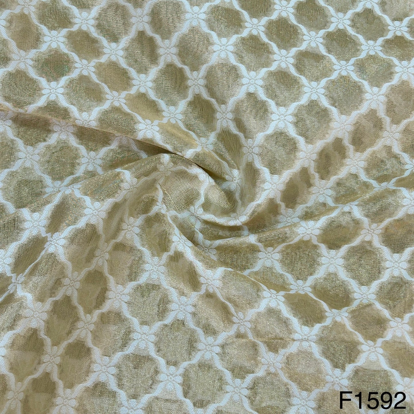 Banarasi Tissue Fabric-F1592