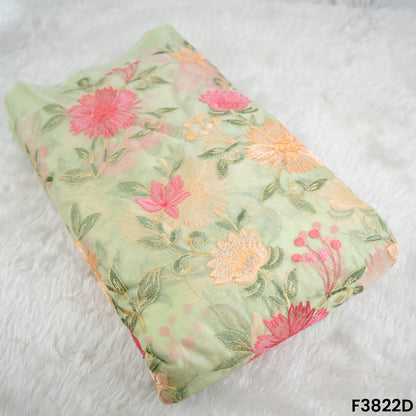 Thread Embroidered Organza Fabric- F3822