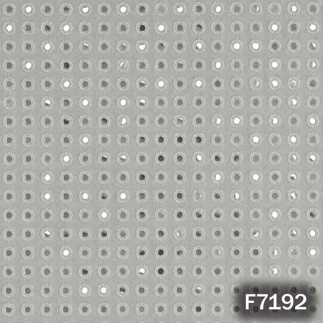Dyeable Faux Mirror Thread Embroidered Georgette Fabric - F7192