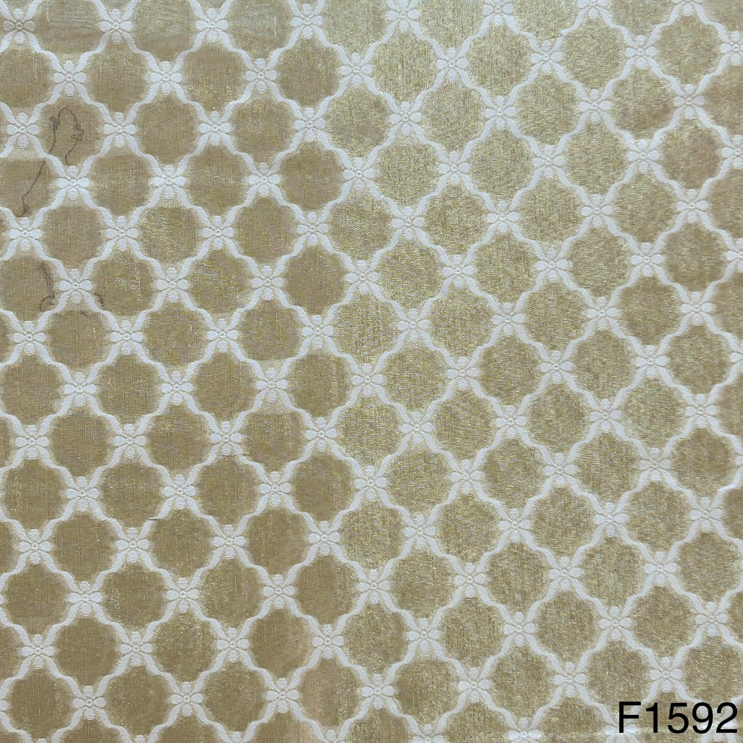 Banarasi Tissue Fabric-F1592