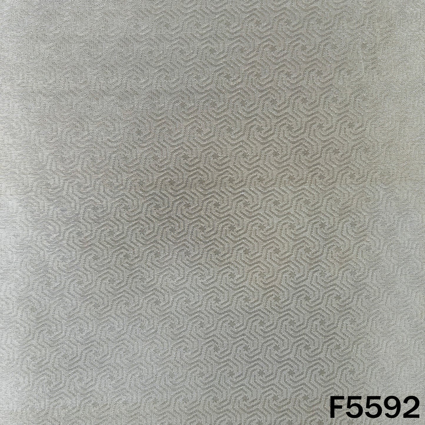 Brocade Silk Fabric - F5592