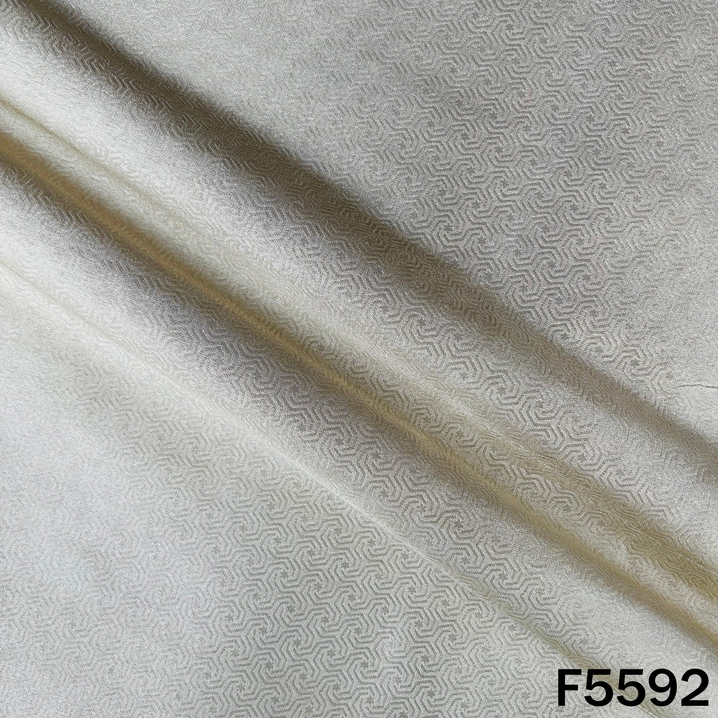 Brocade Silk Fabric - F5592