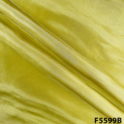 Zari Work Shimmer Tissue Fabric - F5599