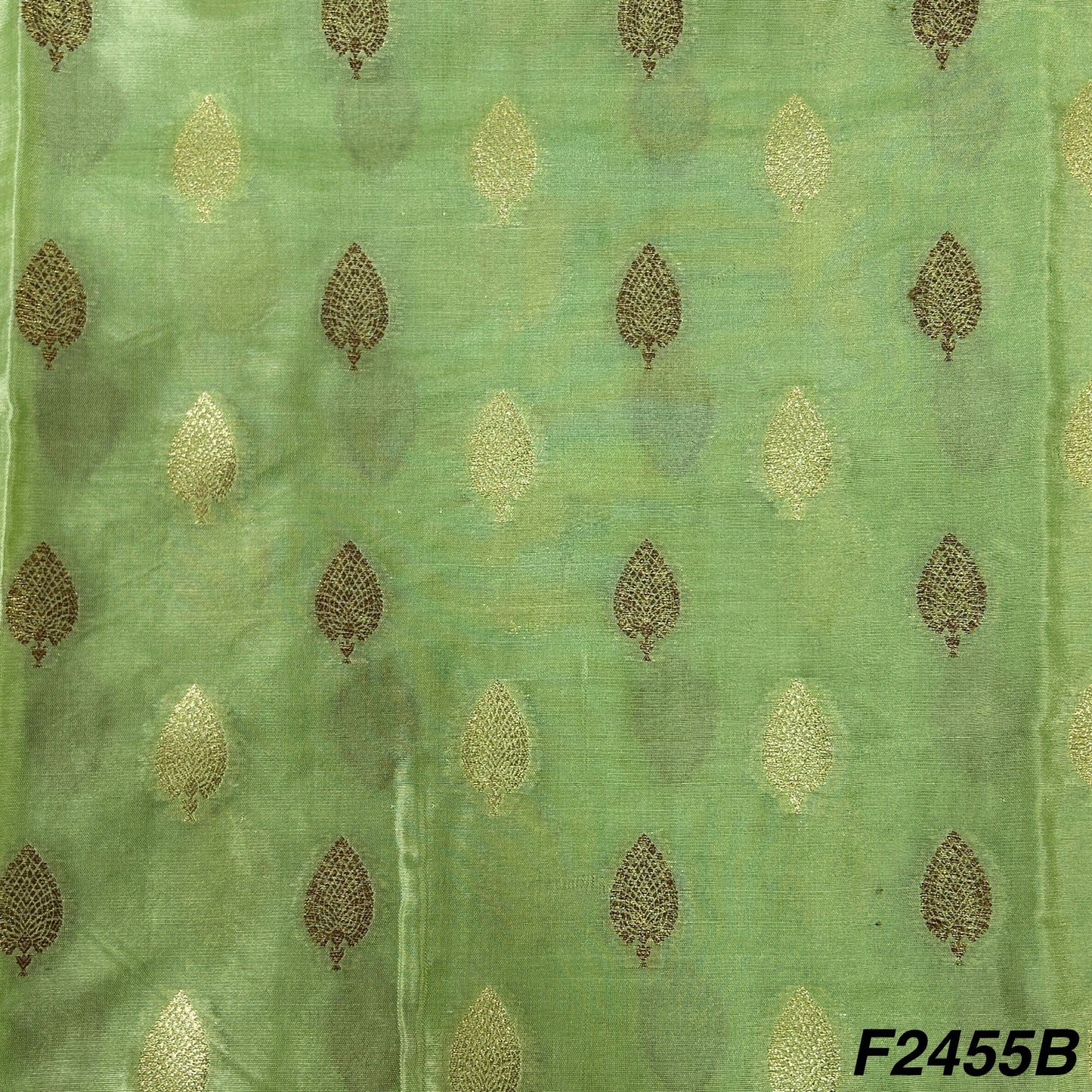 Silk Brocade Fabric-F2455