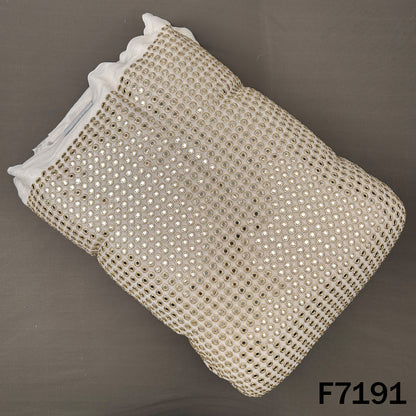 Dyeable Faux Mirror Zari Embroidered Georgette Fabric - F7191