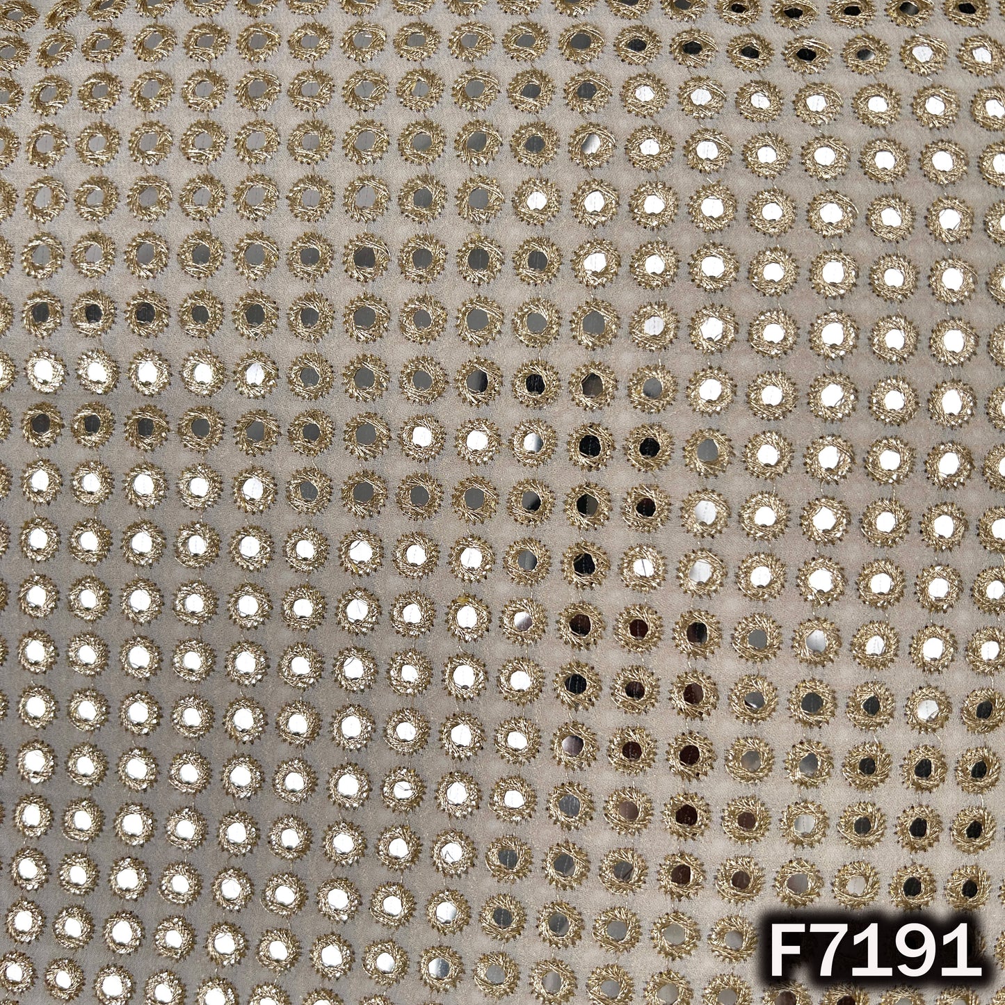 Dyeable Faux Mirror Zari Embroidered Georgette Fabric - F7191