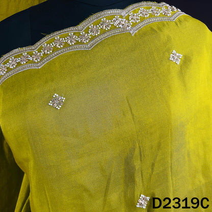 Cut Dana Zari Sequins Shimmer Work Tissue Dupatta - D2319