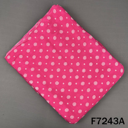 Printed Chinnon Chiffon Fabric - F7243