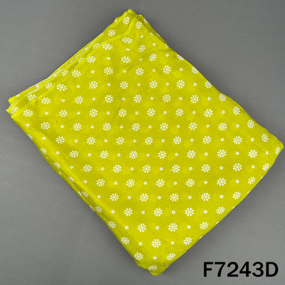 Printed Chinnon Chiffon Fabric - F7243