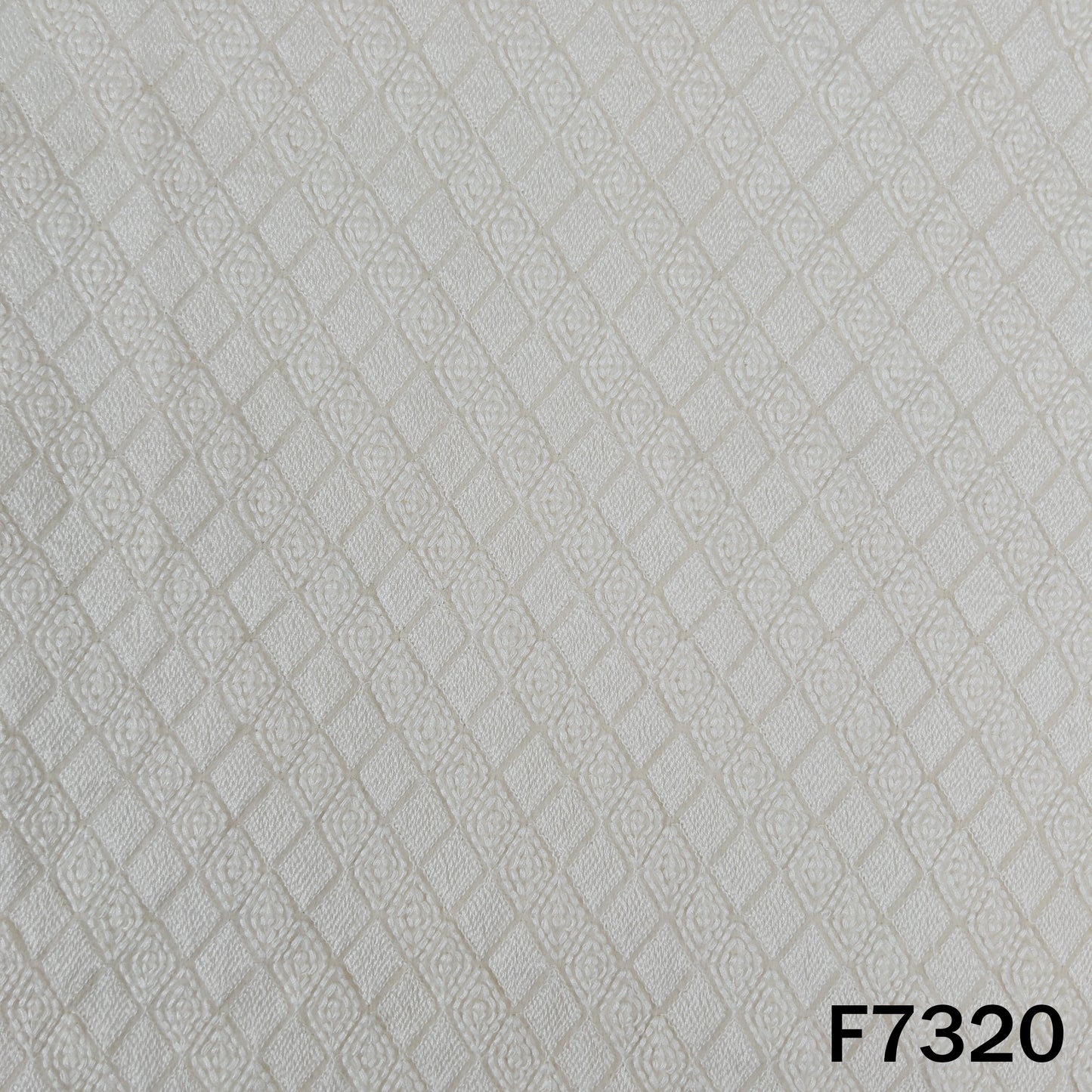 Dyeable Thread Embroidered Georgette Fabric - F7320