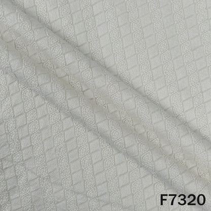 Dyeable Thread Embroidered Georgette Fabric - F7320