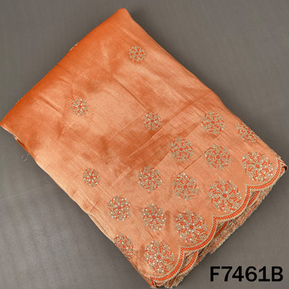 Zari Sequins Thread Embroidered Tissue Fabric - F7461