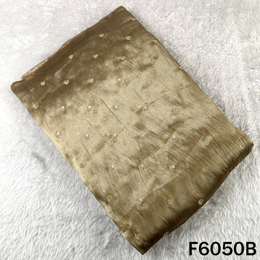 Zari Sequins Work Tissue Fabric - F6050