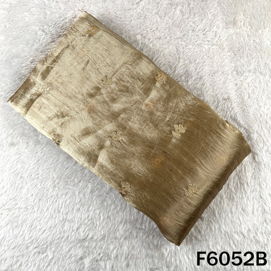 Zari Sequins Work Tissue Fabric - F6052