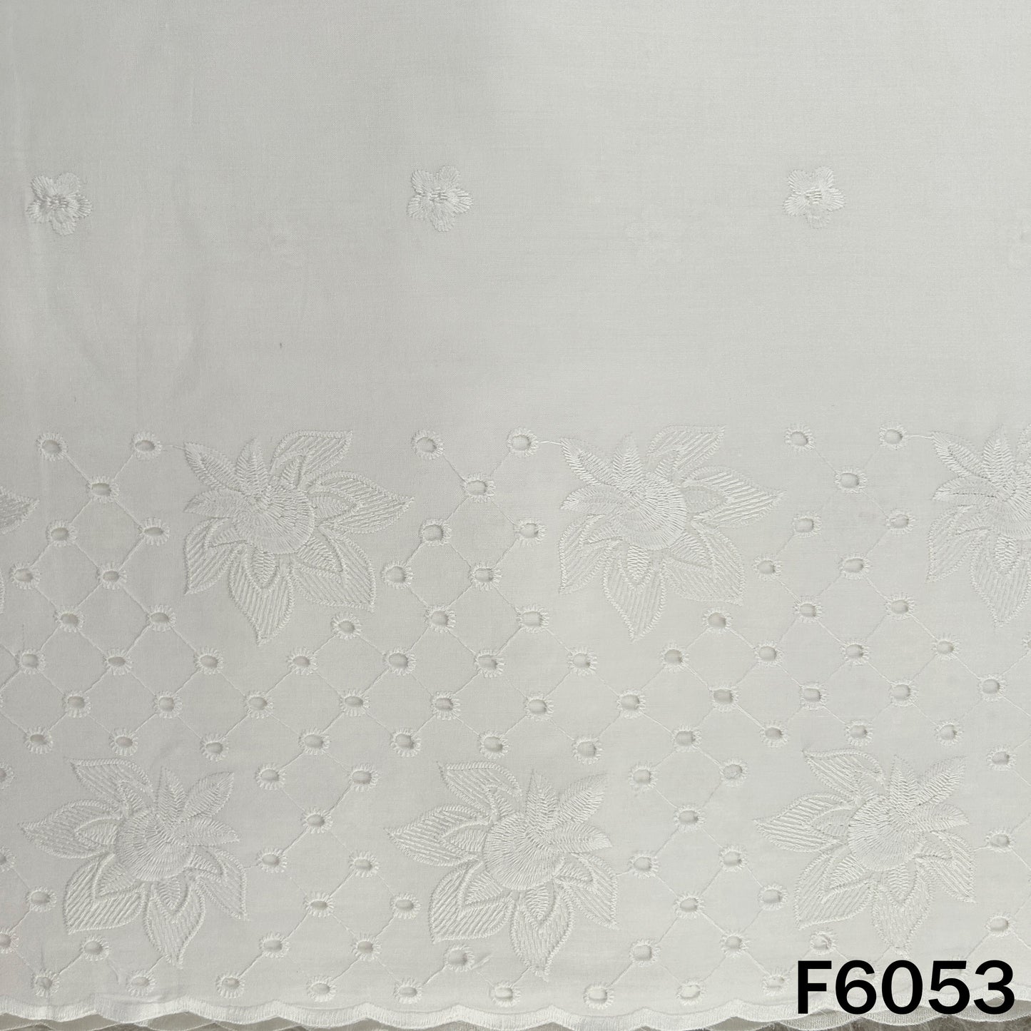 Chikankari Cotton Fabric - F6053