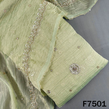Cut Daba Zari Sequins with Pearl Work Crush Tissue Fabric - F7501