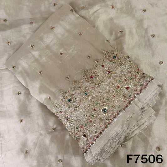 Cut Dana Zari Sequins with Stone Work Shimmer Tissue Fabric - F7506