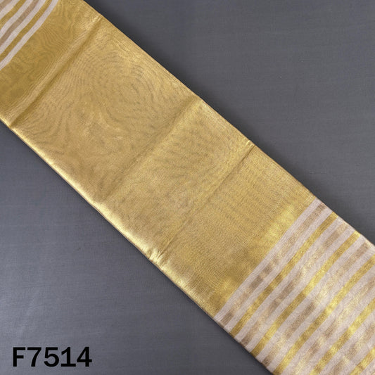 Stripes Tissue Organza Fabric - F7514
