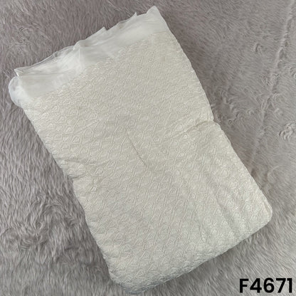 Dyeable Thread Embroidered Georgette Fabric- F4671