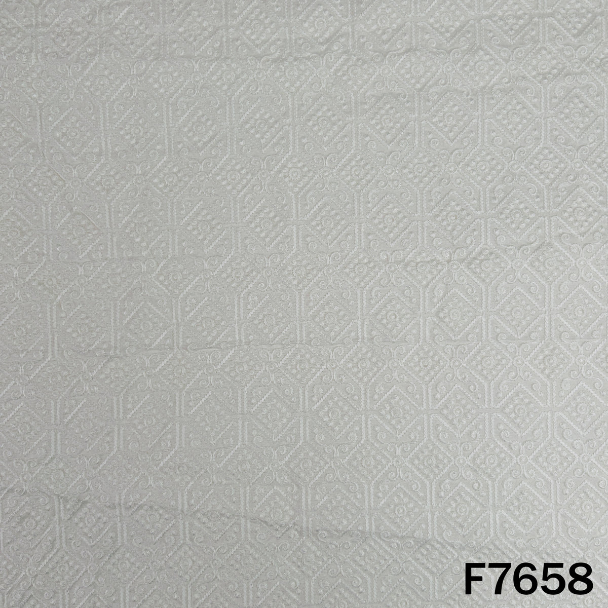 Dyeable Thread Embroidered Raw Silk Fabric - F7658