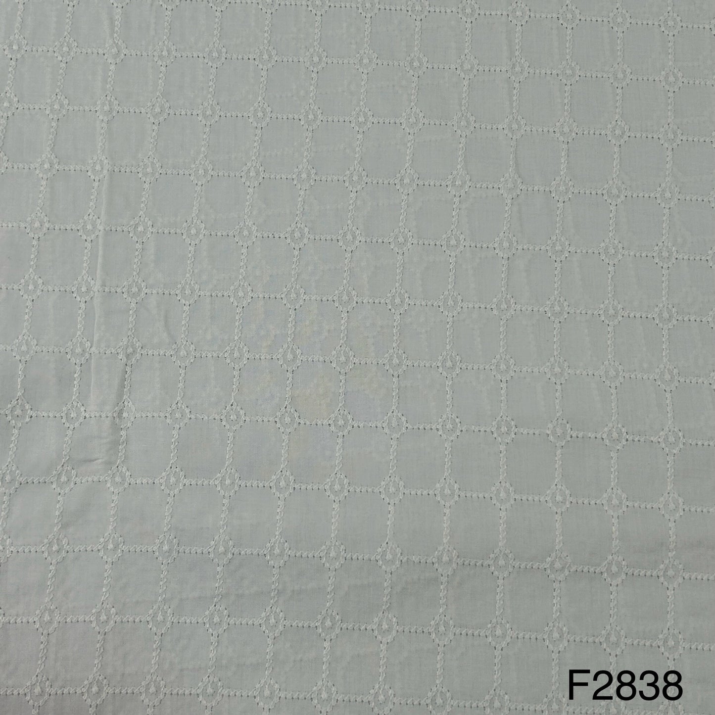 Chikankari Cotton-F2838